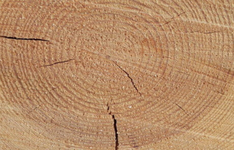 Testa de viga pino92 maderas pisuerga - valladolid