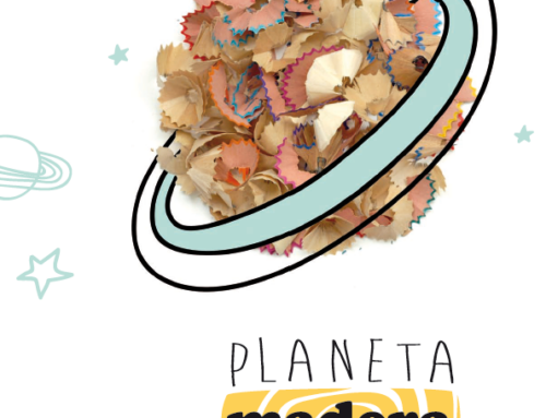 PLANETA MADERA – LA EDAD DE LA MADERA